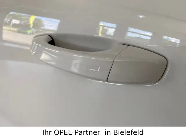 Opel Grandland view 11
