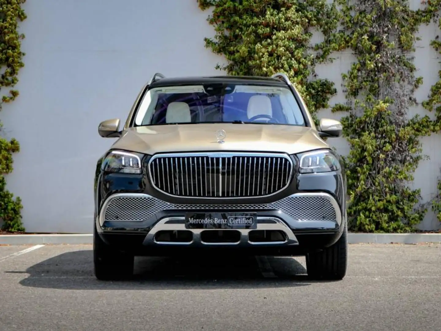 Mercedes-Benz Maybach GLS Maybach - 2