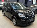 Fiat Panda 1.0 FireFly S&S Hybrid *NO OBBLIGO FINANZIAMENTO* Nero - thumbnail 3