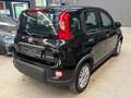 Fiat Panda 1.0 FireFly S&S Hybrid *NO OBBLIGO FINANZIAMENTO* Nero - thumbnail 4