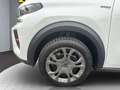 Citroen C3 e-C3 113 44kWh PLUS Weiß - thumbnail 20
