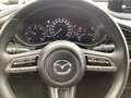 Mazda CX-30 Selection 1.8 D Matrix-LED 360° Monitor Rood - thumbnail 14