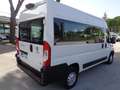 Fiat Ducato 35 3.0 CNG PM-TM Combi 9 POSTI KM55000 Bianco - thumbnail 4