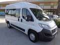 Fiat Ducato 35 3.0 CNG PM-TM Combi 9 POSTI KM55000 Bianco - thumbnail 2