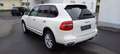 Porsche Cayenne Diesel-Navi-Luftfederung-BiXenon-Komfortsitz-PCM- Weiß - thumbnail 4