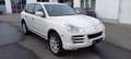 Porsche Cayenne Diesel-Navi-Luftfederung-BiXenon-Komfortsitz-PCM- Weiß - thumbnail 8