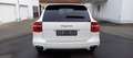 Porsche Cayenne Diesel-Navi-Luftfederung-BiXenon-Komfortsitz-PCM- Weiß - thumbnail 5