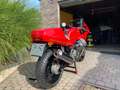 Moto Guzzi 1000 Daytona Rojo - thumbnail 6