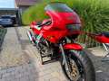 Moto Guzzi 1000 Daytona Czerwony - thumbnail 5