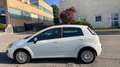 Fiat Punto Alb - thumbnail 2