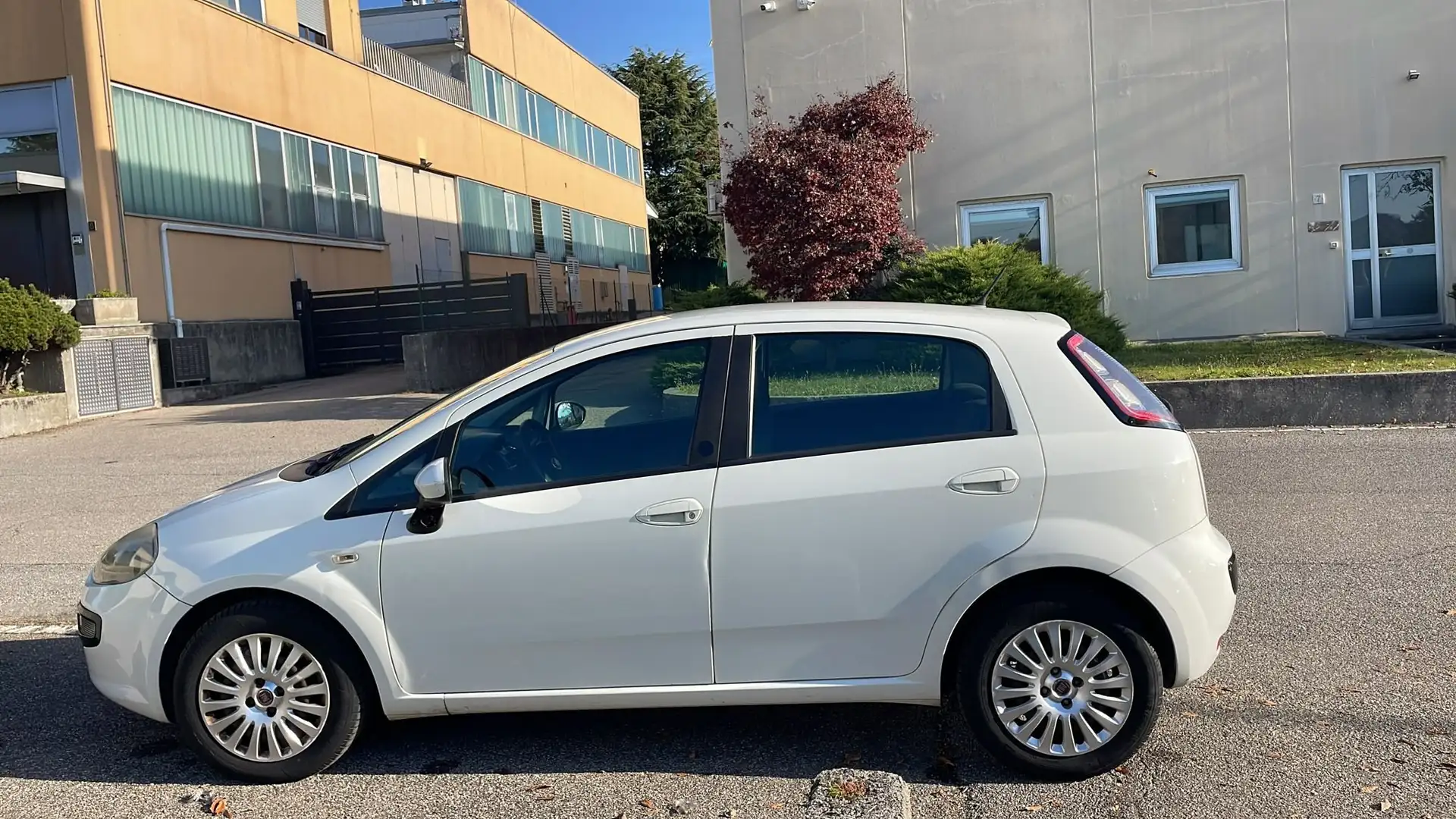 Fiat Punto Alb - 2