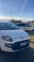 Fiat Punto Alb - thumbnail 3