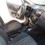 Fiat Punto Alb - thumbnail 9