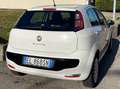 Fiat Punto Alb - thumbnail 4