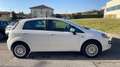 Fiat Punto Alb - thumbnail 6