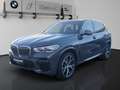 BMW X5 xDrive40d INDIVI DRAVITGRAU AHK 360° ACC HeadU Gris - thumbnail 1