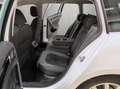 Volkswagen Golf Variant Golf VII Variant 1.5 TSI DSG Highline, Kamera Wit - thumbnail 8