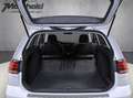 Volkswagen Golf Variant Golf VII Variant 1.5 TSI DSG Highline, Kamera Weiß - thumbnail 18