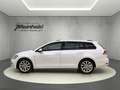 Volkswagen Golf Variant Golf VII Variant 1.5 TSI DSG Highline, Kamera Wit - thumbnail 5