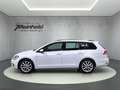 Volkswagen Golf Variant Golf VII Variant 1.5 TSI DSG Highline, Kamera Weiß - thumbnail 6