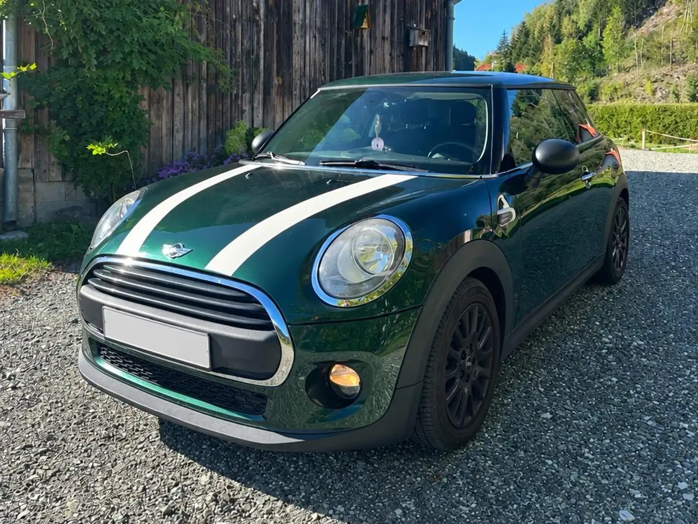 MINI One MINI Hatch One One Grün - 1