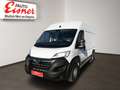 Opel Movano CARGO EDITION L2H2 Weiß - thumbnail 2