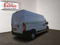 Opel Movano CARGO EDITION L2H2 Weiß - thumbnail 13
