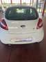 Ford Ka/Ka+ Ka 1.2 + 67cv Gpl - thumbnail 2