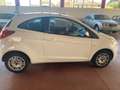 Ford Ka/Ka+ Ka 1.2 + 67cv Gpl - thumbnail 4