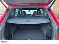 SEAT Tarraco 2.0 TDI FR 4D AHK STANDHZG PANO SHZ PDC LM ZV Rot - thumbnail 7
