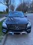 Mercedes-Benz ML 250 BlueTEC 4MATIC Aut. DPF Schwarz - thumbnail 4