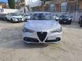 Alfa Romeo Stelvio Stelvio 2.2 Turbodiesel 190 CV AT8 RWD Business Grigio - thumbnail 2