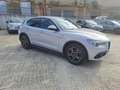 Alfa Romeo Stelvio Stelvio 2.2 Turbodiesel 190 CV AT8 RWD Business Grigio - thumbnail 3