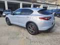Alfa Romeo Stelvio Stelvio 2.2 Turbodiesel 190 CV AT8 RWD Business Grigio - thumbnail 6
