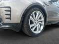 Land Rover Discovery D300 HSE Braun - thumbnail 13