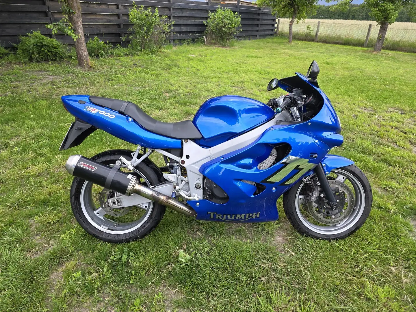 Triumph TT 600 Blu/Azzurro - 1