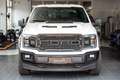 Ford F 150 F-150 XLT Facelift LED Biały - thumbnail 10