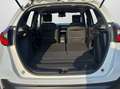 Honda Jazz 1,5 i-MMD Hybrid Advance Aut. Weiß - thumbnail 14