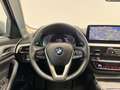 BMW 520 520d xDrive Grau - thumbnail 10