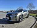 Lexus UX 250h Executive E-four 1,4kWh Aut. - thumbnail 7