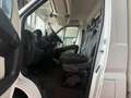Fiat Ducato Cassonato Con Sponda - thumbnail 12