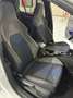 Volkswagen Golf 2.0 TSI R 20 Aniversario DSG 245kW Blanco - thumbnail 14