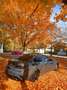BMW Active Hybrid 3 330e Dravit Grau Grau - thumbnail 5
