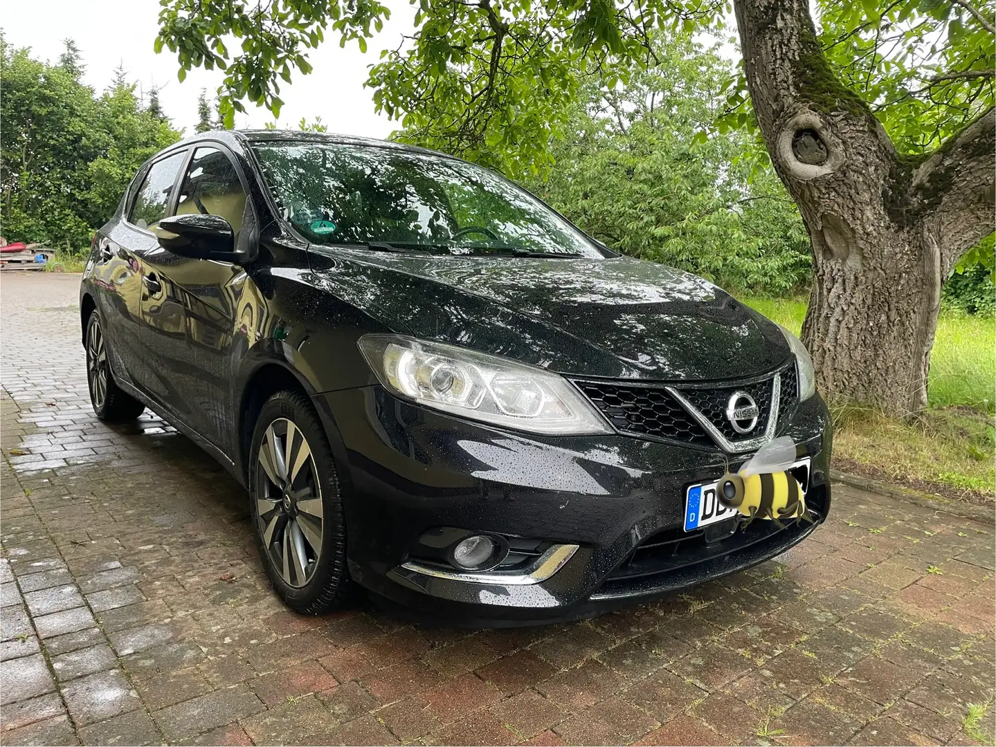 Nissan Pulsar Pulsar 1.2 DIG-T Acenta Schwarz - 1