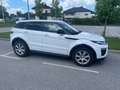 Land Rover Range Rover Evoque Range Rover Evoque SE Dynamic 2.0 TD4 Aut. SE Dynamic Weiß - thumbnail 11