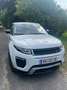 Land Rover Range Rover Evoque Range Rover Evoque SE Dynamic 2.0 TD4 Aut. SE Dynamic Weiß - thumbnail 3