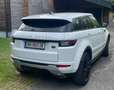 Land Rover Range Rover Evoque Range Rover Evoque SE Dynamic 2.0 TD4 Aut. SE Dynamic Weiß - thumbnail 2