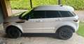 Land Rover Range Rover Evoque Range Rover Evoque SE Dynamic 2.0 TD4 Aut. SE Dynamic Weiß - thumbnail 4