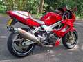 Honda VTR 1000 Rot - thumbnail 4