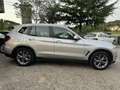 BMW X3 xdrive20d Business Advantage 190cv auto Grigio - thumbnail 4